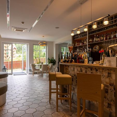 Hotel Willa Odkrywcow Шклярска Поремба Екстериор снимка